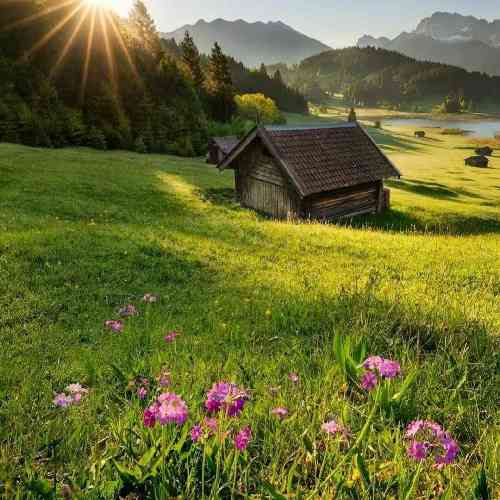  میدونستم میزنه دلتو خوبیه زیاد میدونستم به هر آدمی خوبی نمیاد